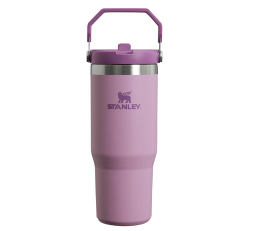 STANLEY IceFlow Stainless Steel Tumbler with Straw, Reusable Cup, Leak Resistant Flip